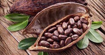 Tipuri diferite de cacao şi istoria acestui ingredient
