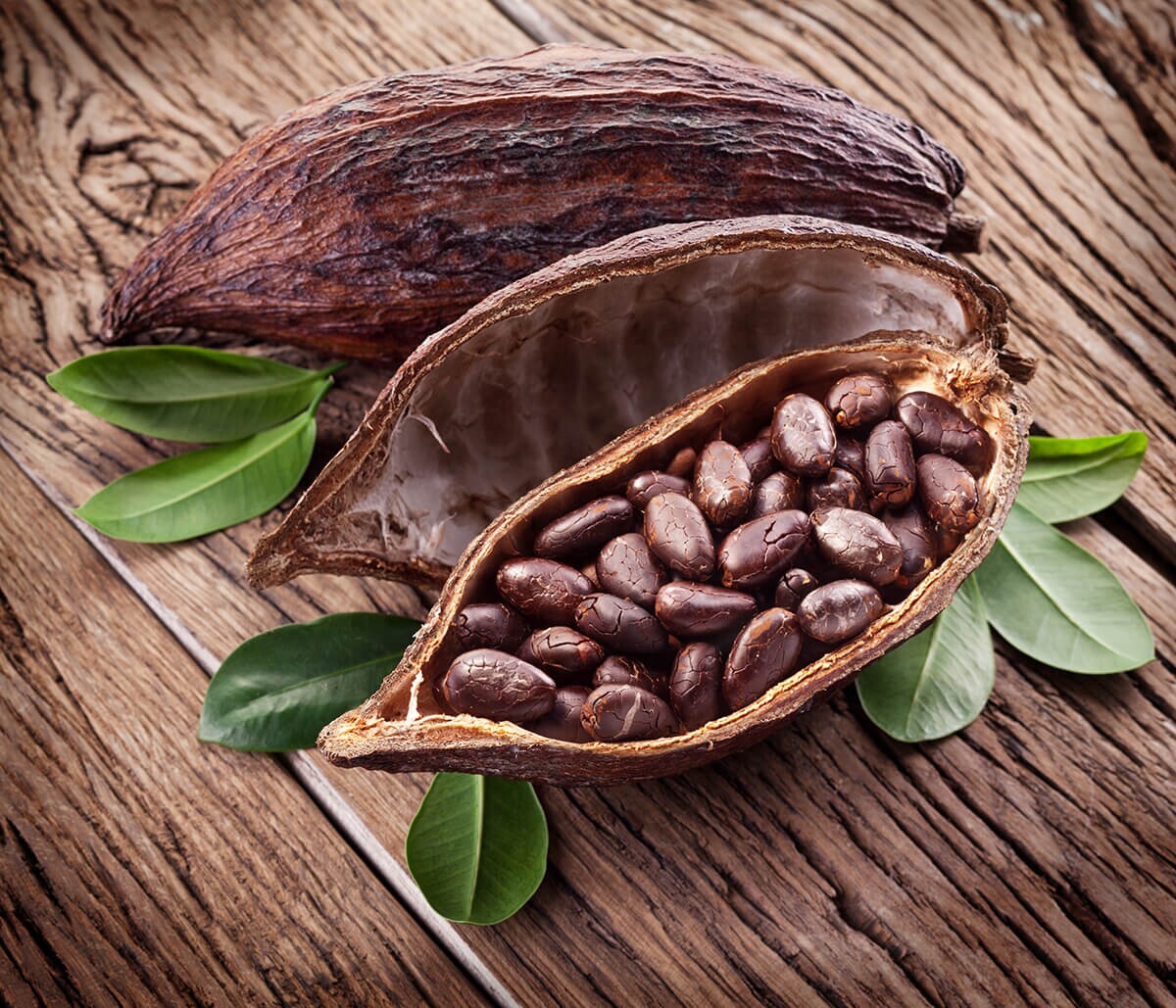 Tipuri diferite de cacao şi istoria acestui ingredient