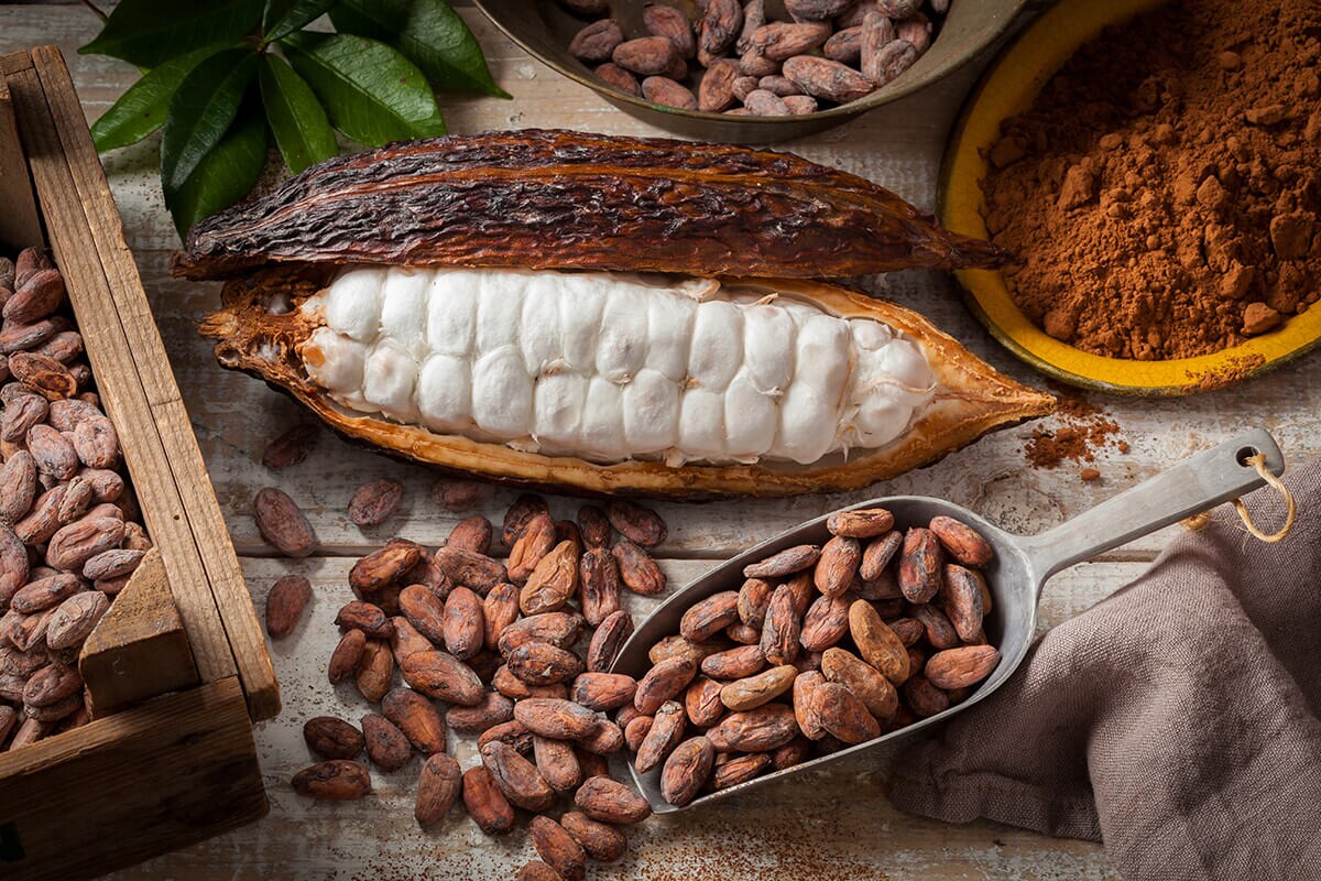 Tipuri diferite de cacao şi istoria acestui ingredient
